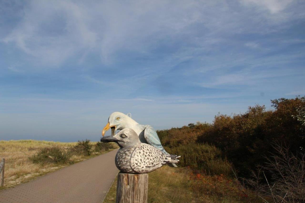 Ferienwohnung Fledermaus Gelbensande Bagian luar foto